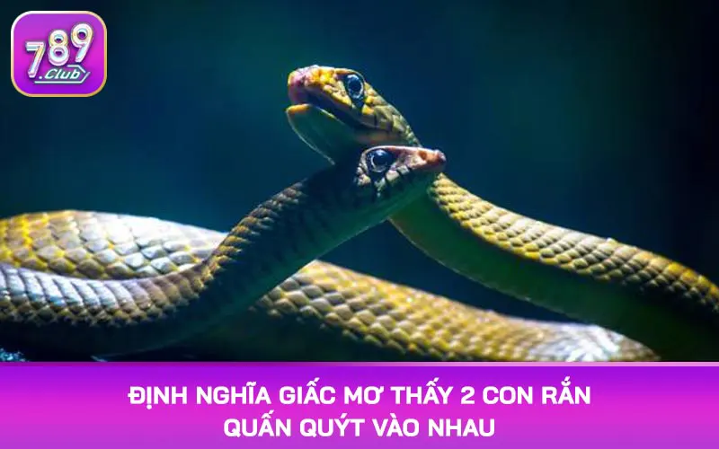 Định nghĩa giấc mơ thấy 2 con rắn quấn quýt vào nhau