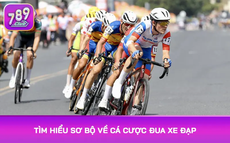 Tìm hiểu sơ bộ về cá cược đua xe đạp