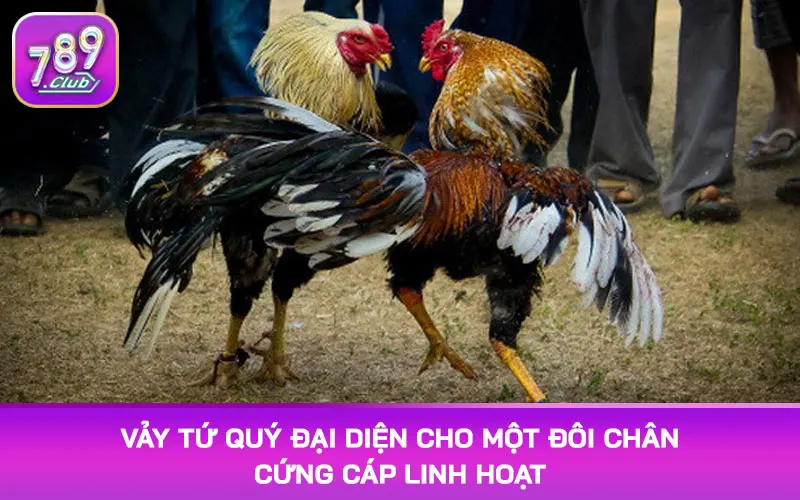 Vảy tứ quý đại diện cho một đôi chân cứng cáp linh hoạt