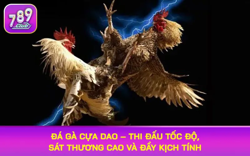 đá gà cựa dao