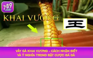 vảy gà khai vương