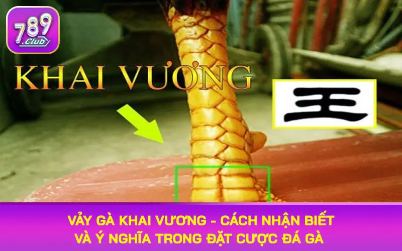 vảy gà khai vương